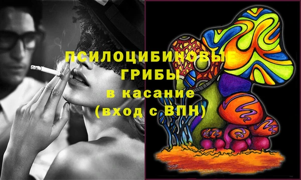 стаф Абаза