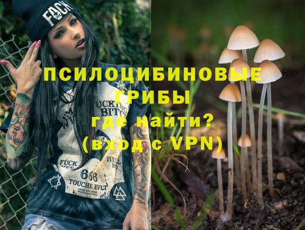 ECSTASY Абинск